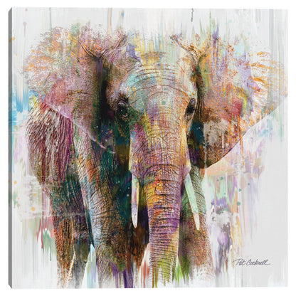 Retrato de elefante - Pat Cockrell