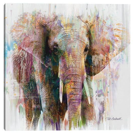 Retrato de elefante - Pat Cockrell