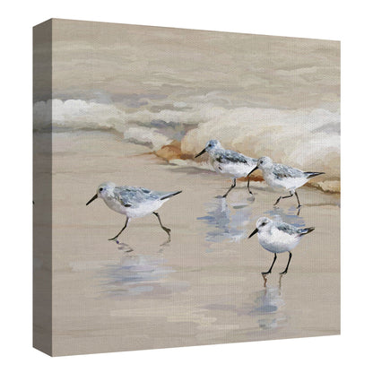 Playa de los playeros en Ámbar - Studio Arts