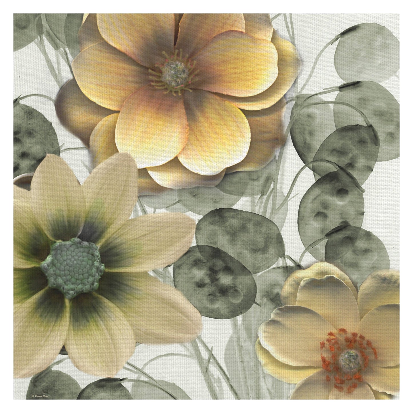 Oro Asiático Floral III - Frannie Funn