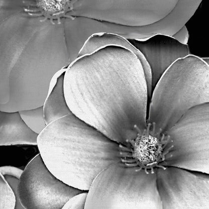 Magnolia en blanco y negro - Frannie Funn