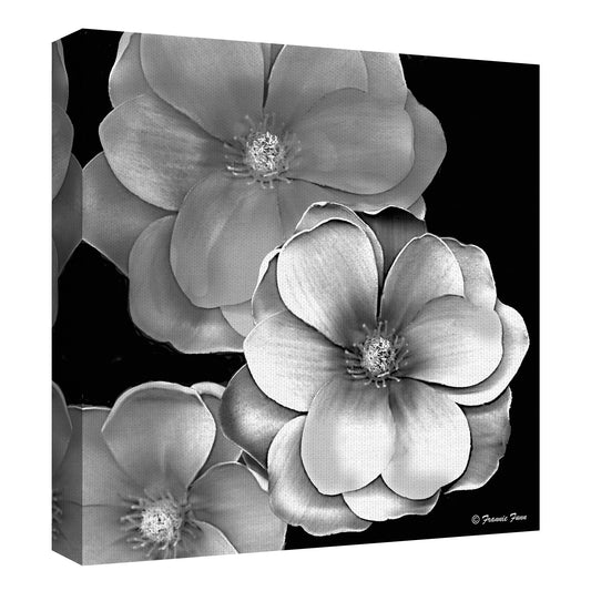 Magnolia en blanco y negro - Frannie Funn