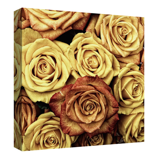 Rosas ámbar - Lobo Studio