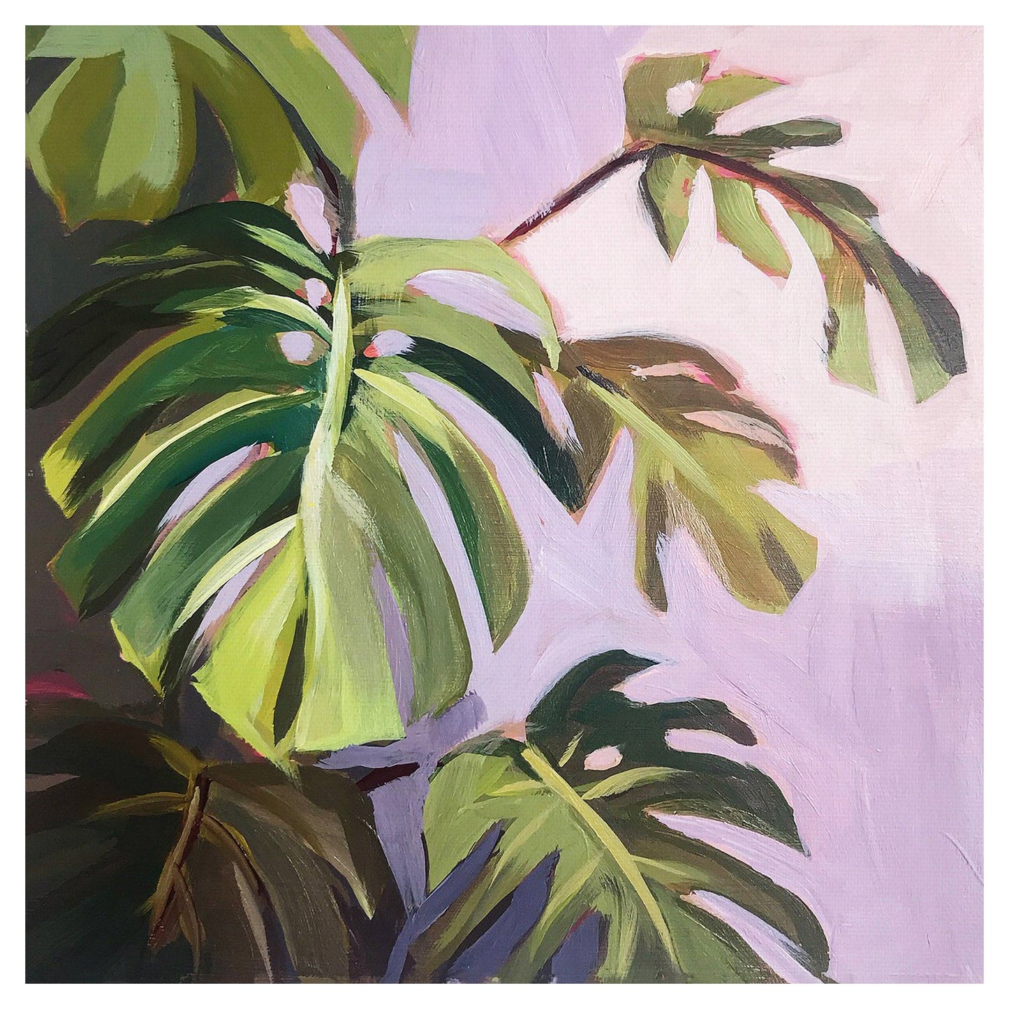 Monstera III - Heather Almeda