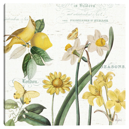 Curiosidades de Citron II - Katie Pertiet