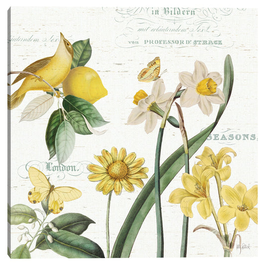Curiosidades de Citron II - Katie Pertiet