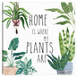 Hogar de la planta II - Farida Zaman