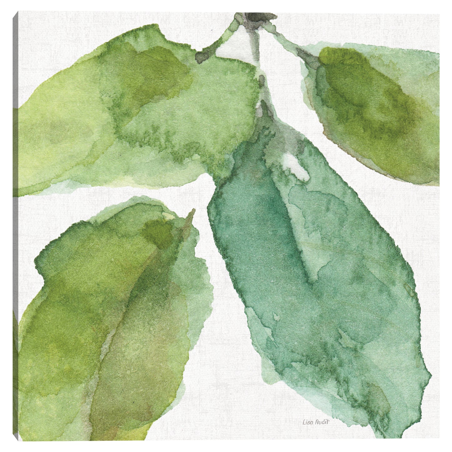 Jardín azul y verde VIII - Lisa Audit