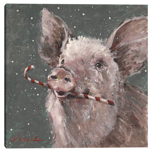 Teri el cerdo de Navidad - Mary Miller Veazie