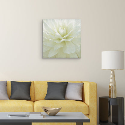 Flor Blanca I - Mary Campanga
