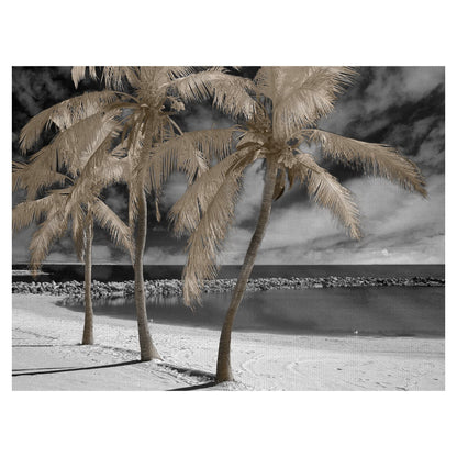 Isla de la Fantasia - Mike Jones