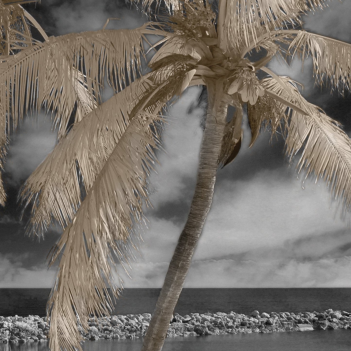 Isla de la Fantasia - Mike Jones