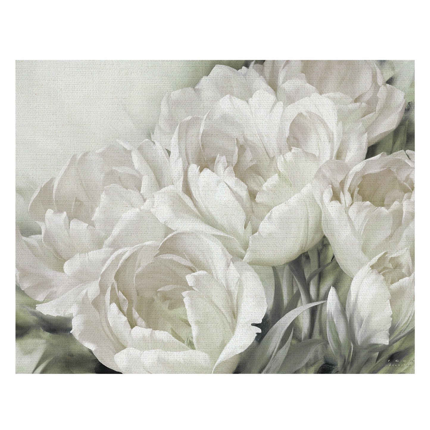 Angelique Tulipanes II Blanco - Igor Levashov