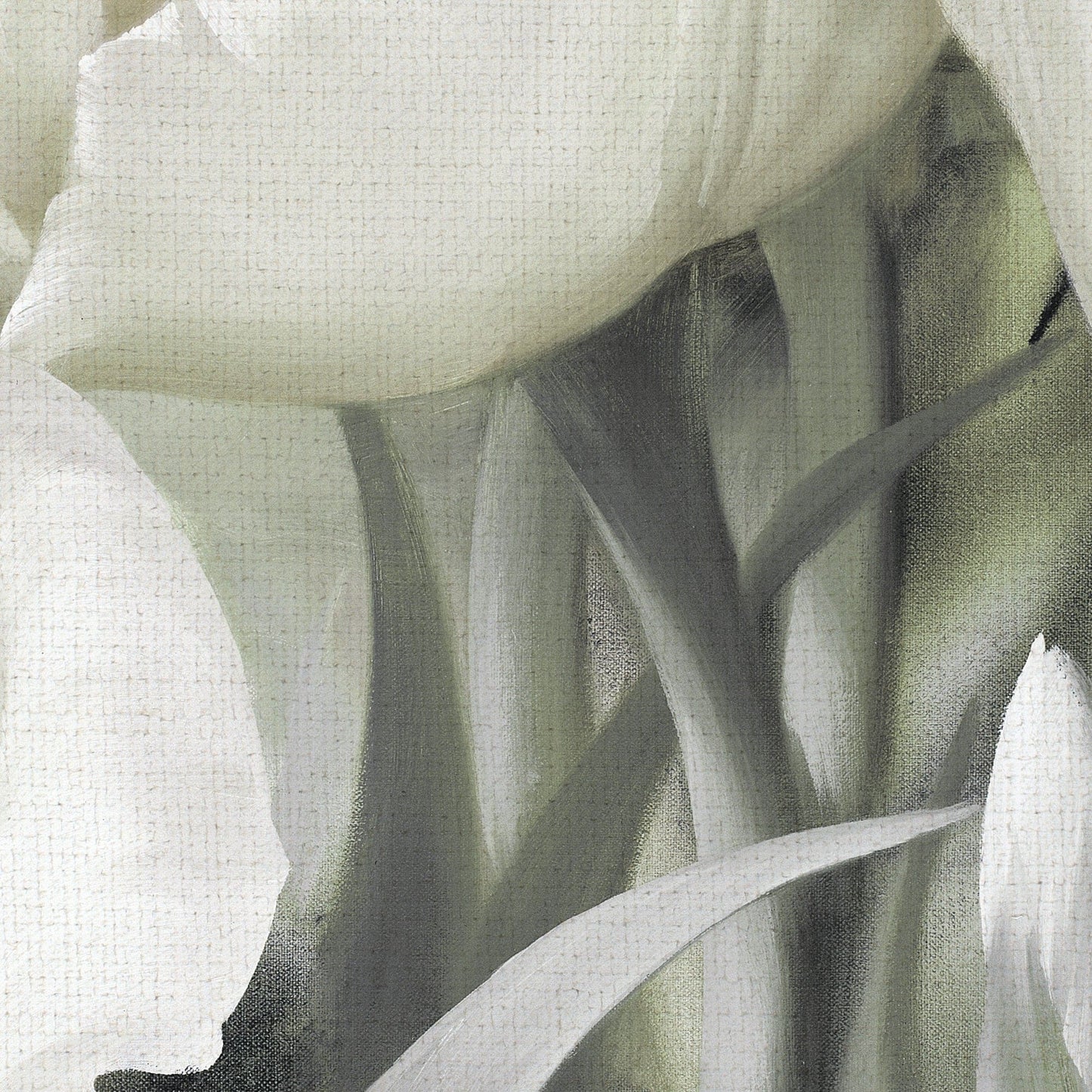 Angelique Tulipanes II Blanco - Igor Levashov