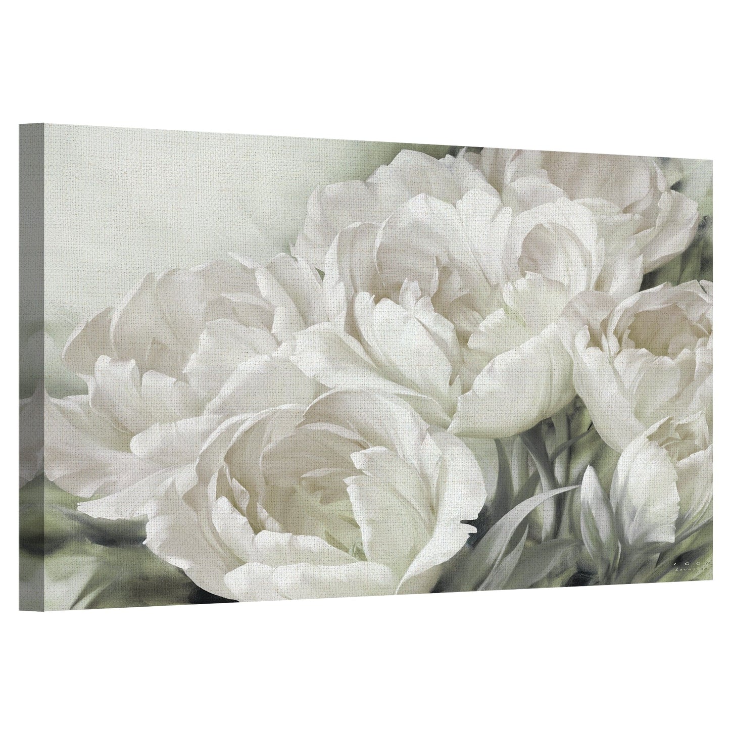 Angelique Tulipanes II Blanco - Igor Levashov