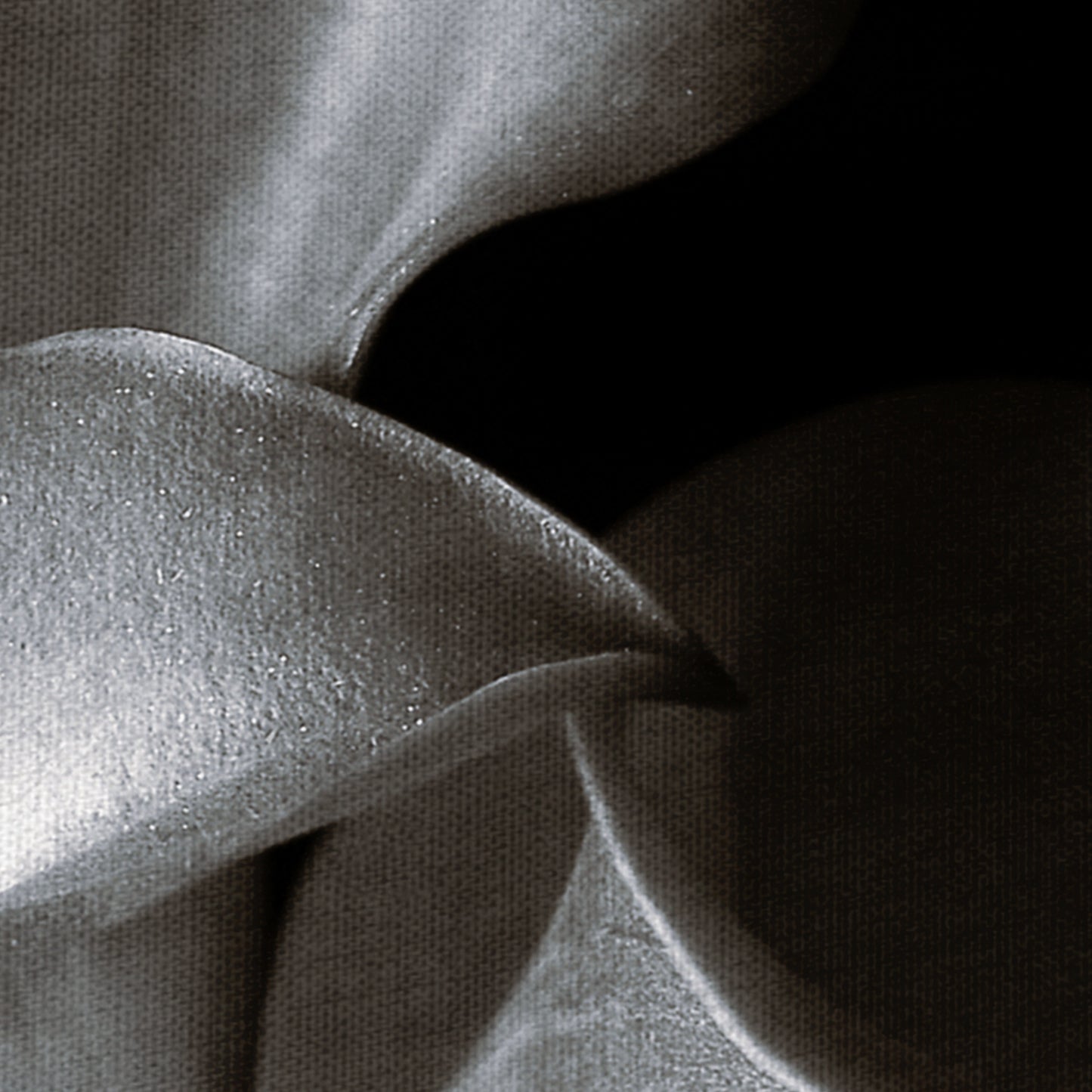 Calla Cluster - Ilona Wellmann