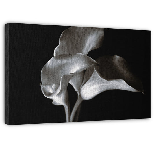 Calla Cluster - Ilona Wellmann