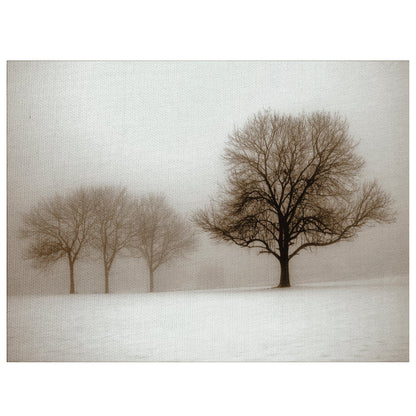Sol de invierno Sepia - Ilona Wellmann