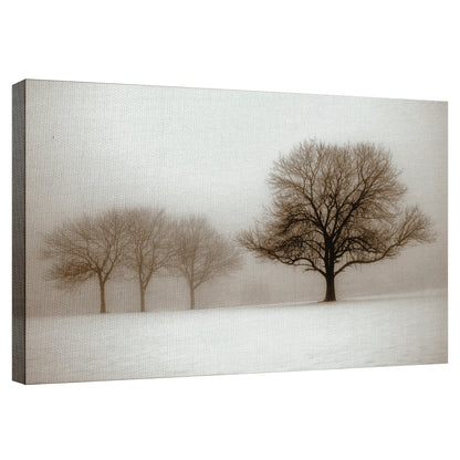 Sol de invierno Sepia - Ilona Wellmann