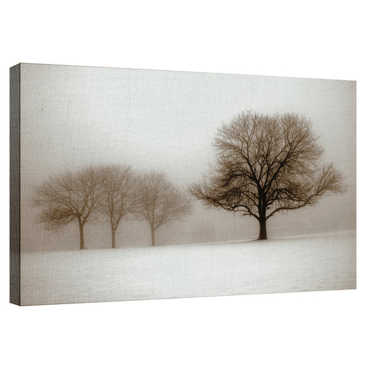 Sol de invierno Sepia - Ilona Wellmann