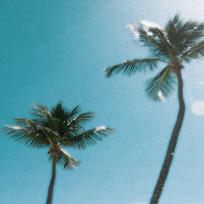 Palmeras iluminadas III - Noah Bay