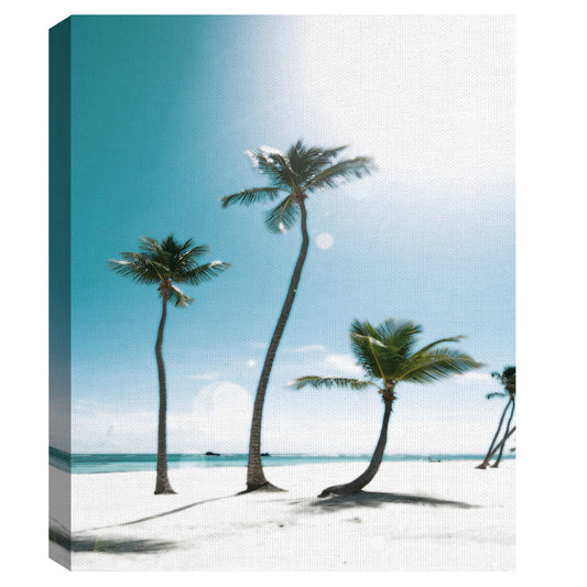 Palmeras iluminadas III - Noah Bay