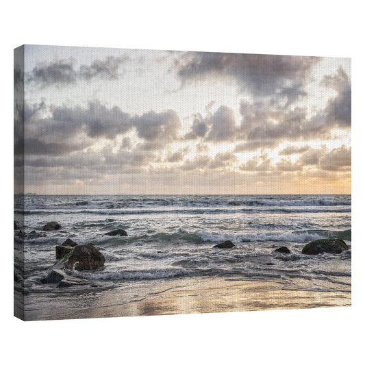 Coronado Ocean - Lillis Werder