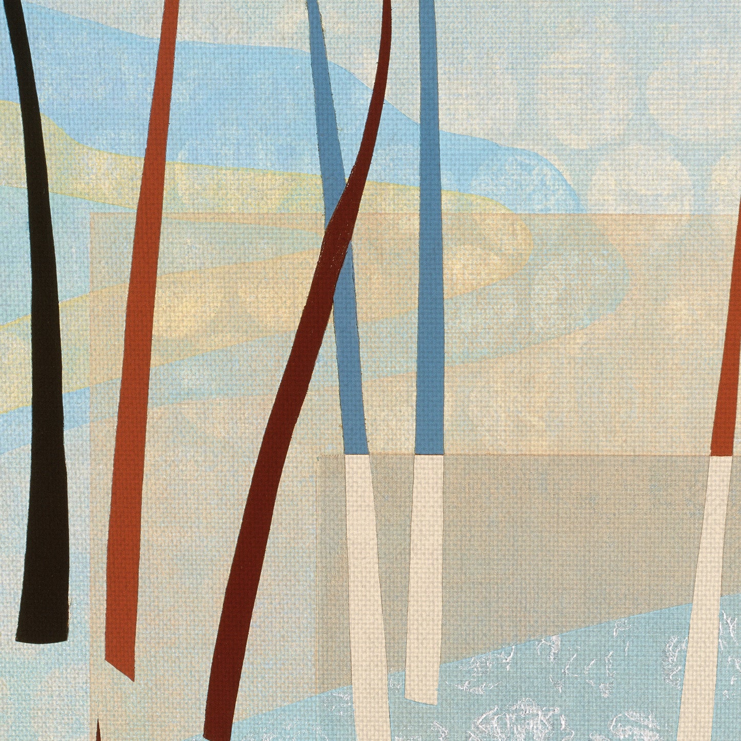 Cañas - Mary Calkins