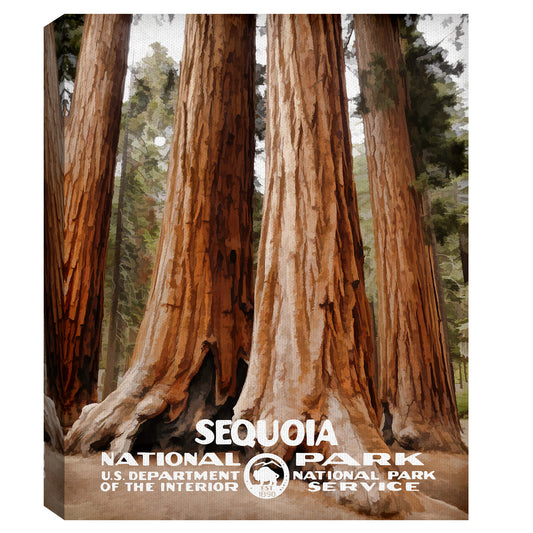 Secuoya - Purple Moose Basics