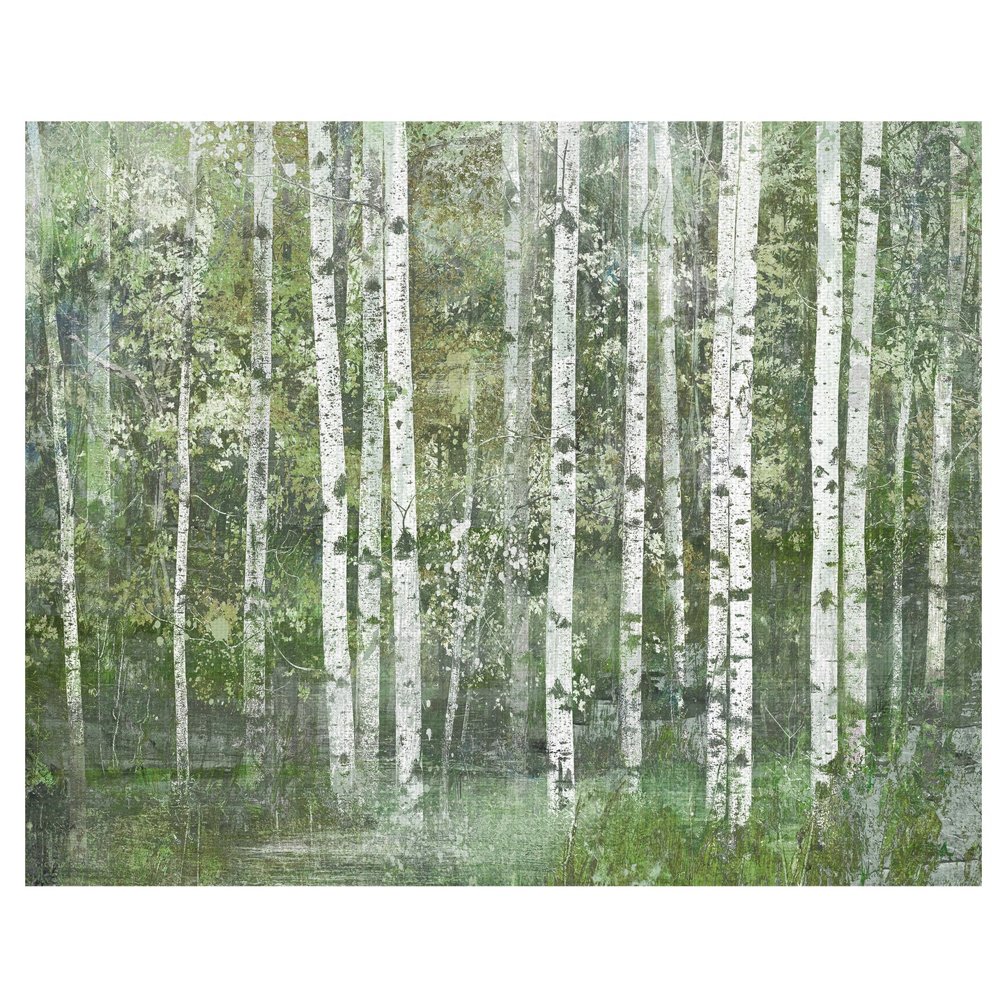 Sueño de abedul - Willowbrook Fine Art