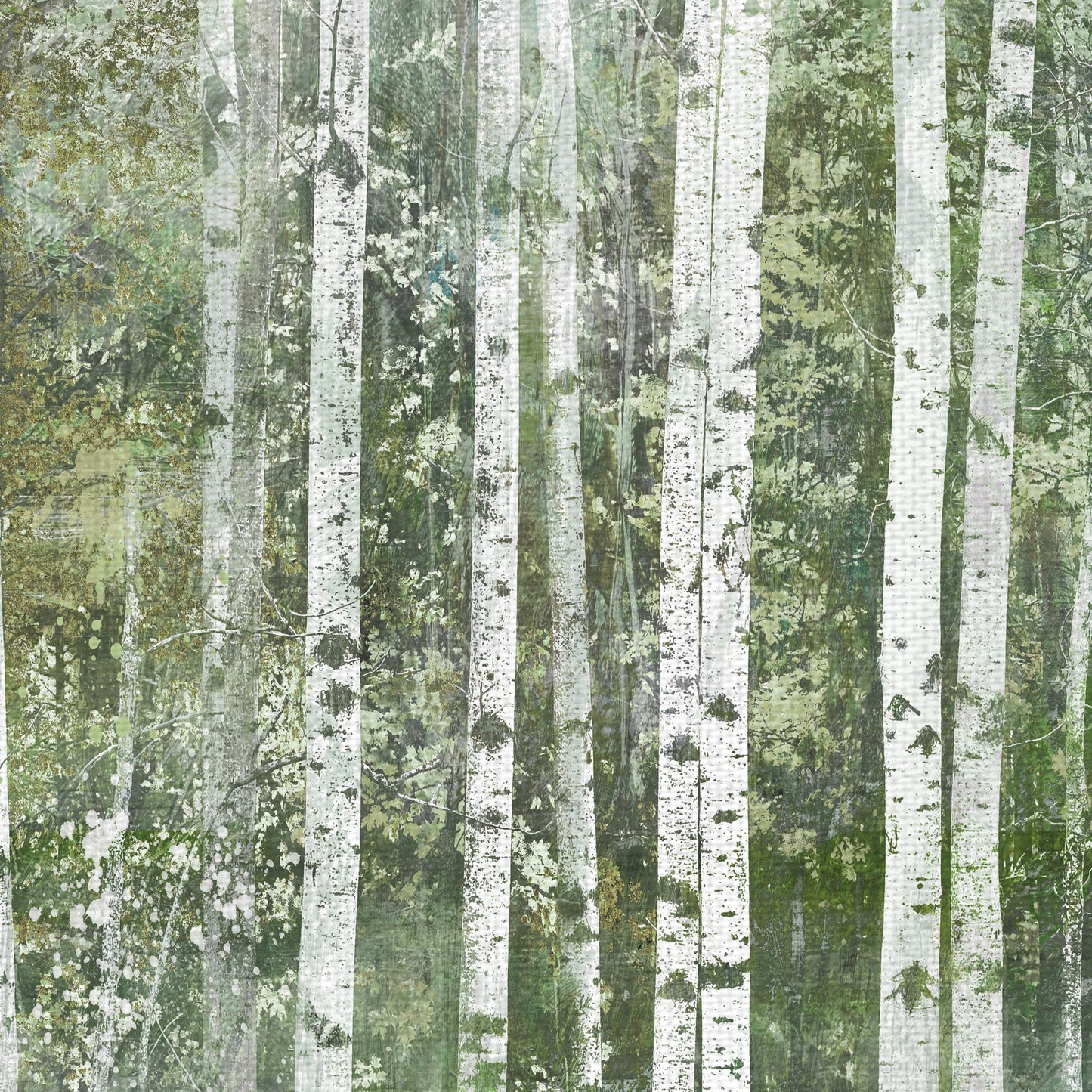 Sueño de abedul - Willowbrook Fine Art