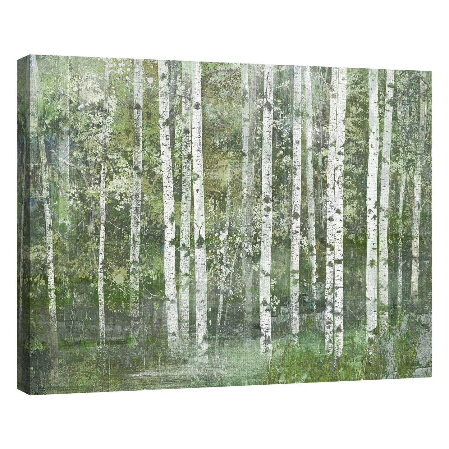 Sueño de abedul - Willowbrook Fine Art
