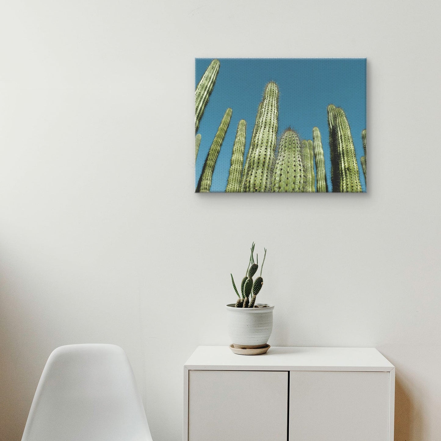 Cactus con cielo azul - Belle Maison