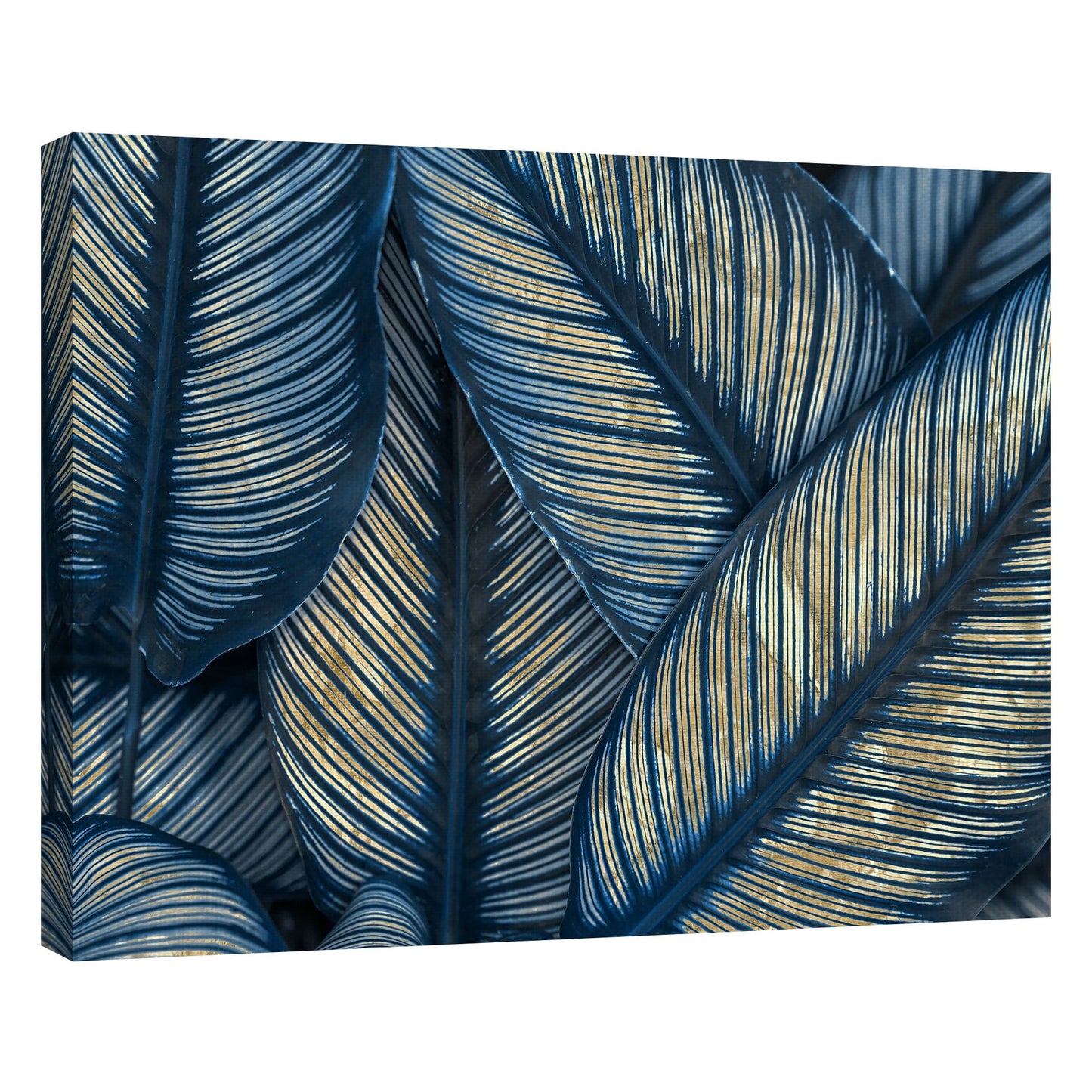Tropicos de Indigo y Oro - Belle Maison
