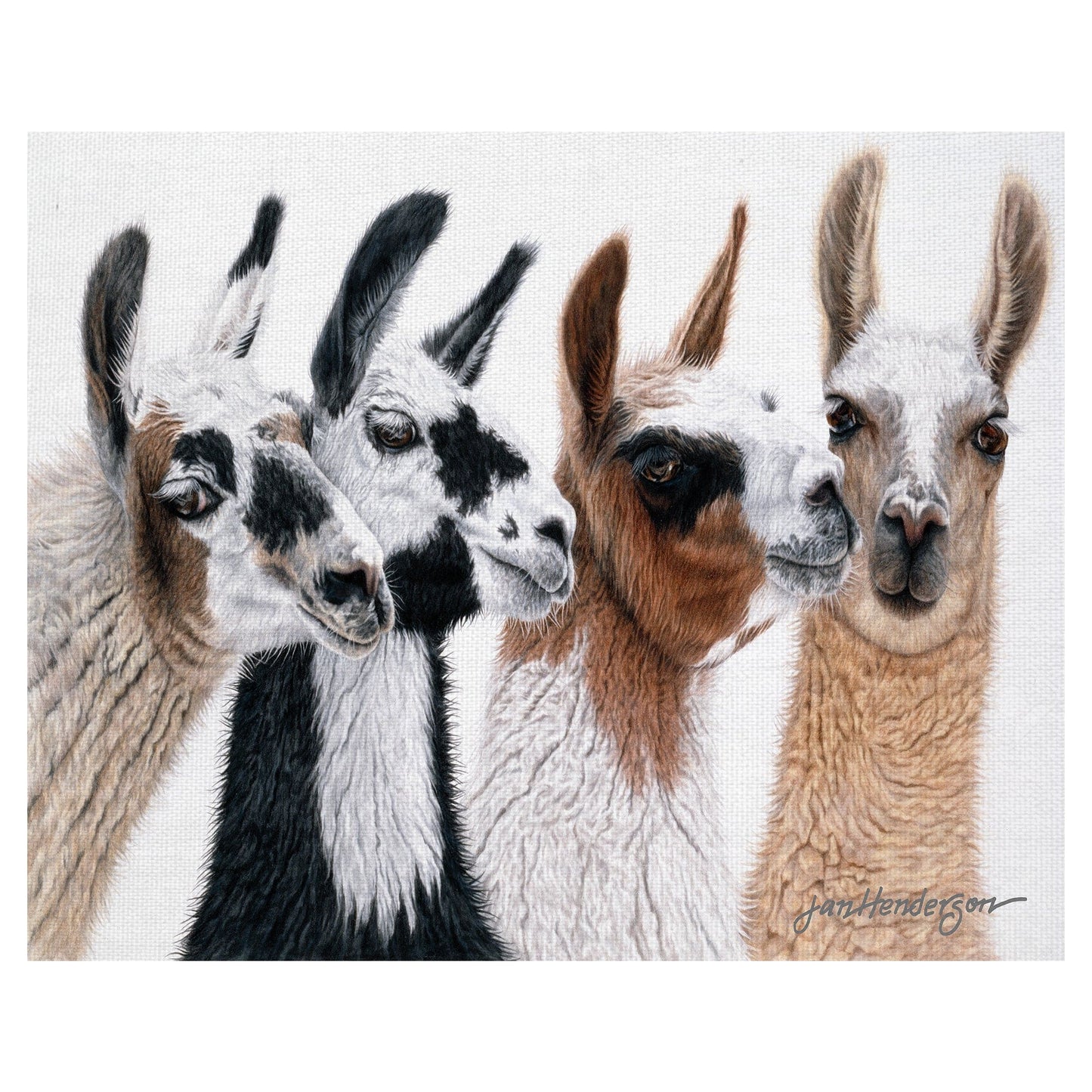 Visitantes Peruanos - Jan Henderson