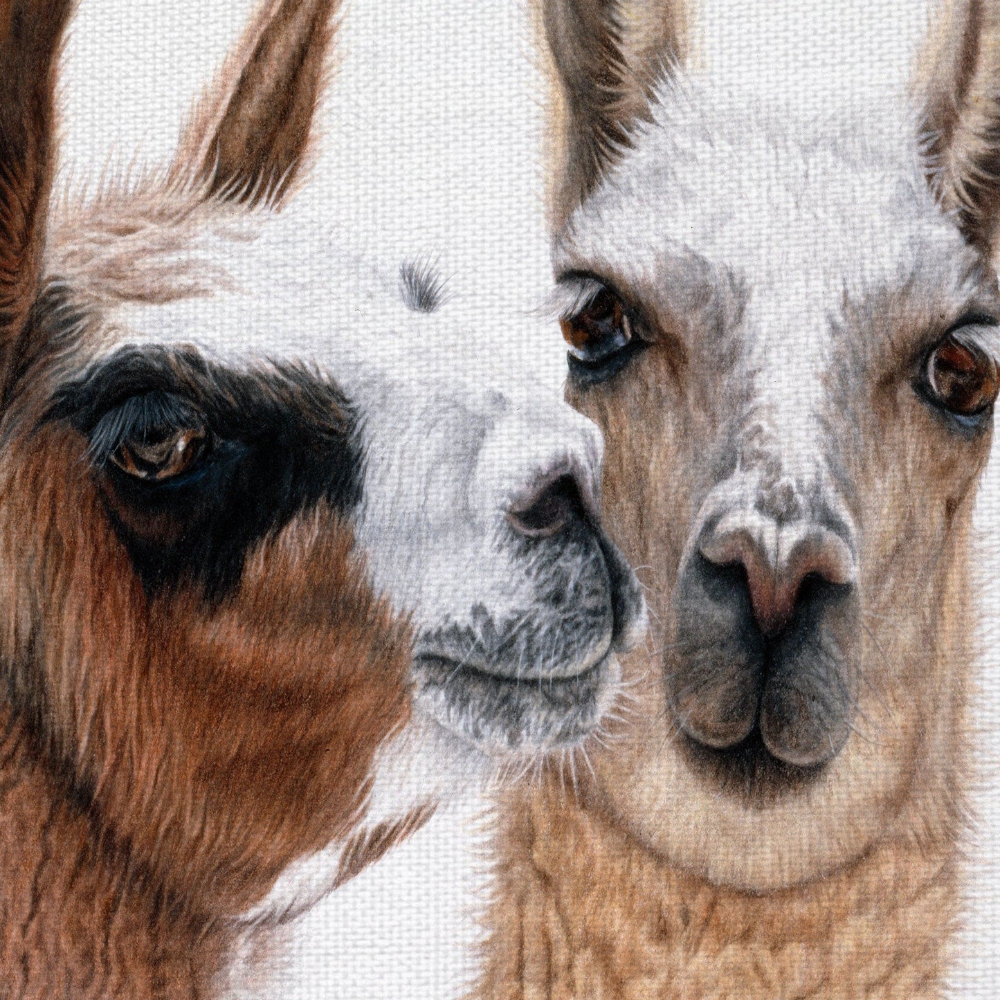 Visitantes Peruanos - Jan Henderson