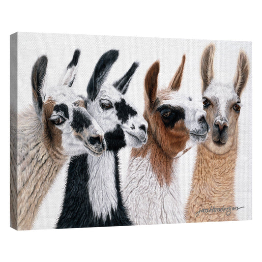 Visitantes Peruanos - Jan Henderson