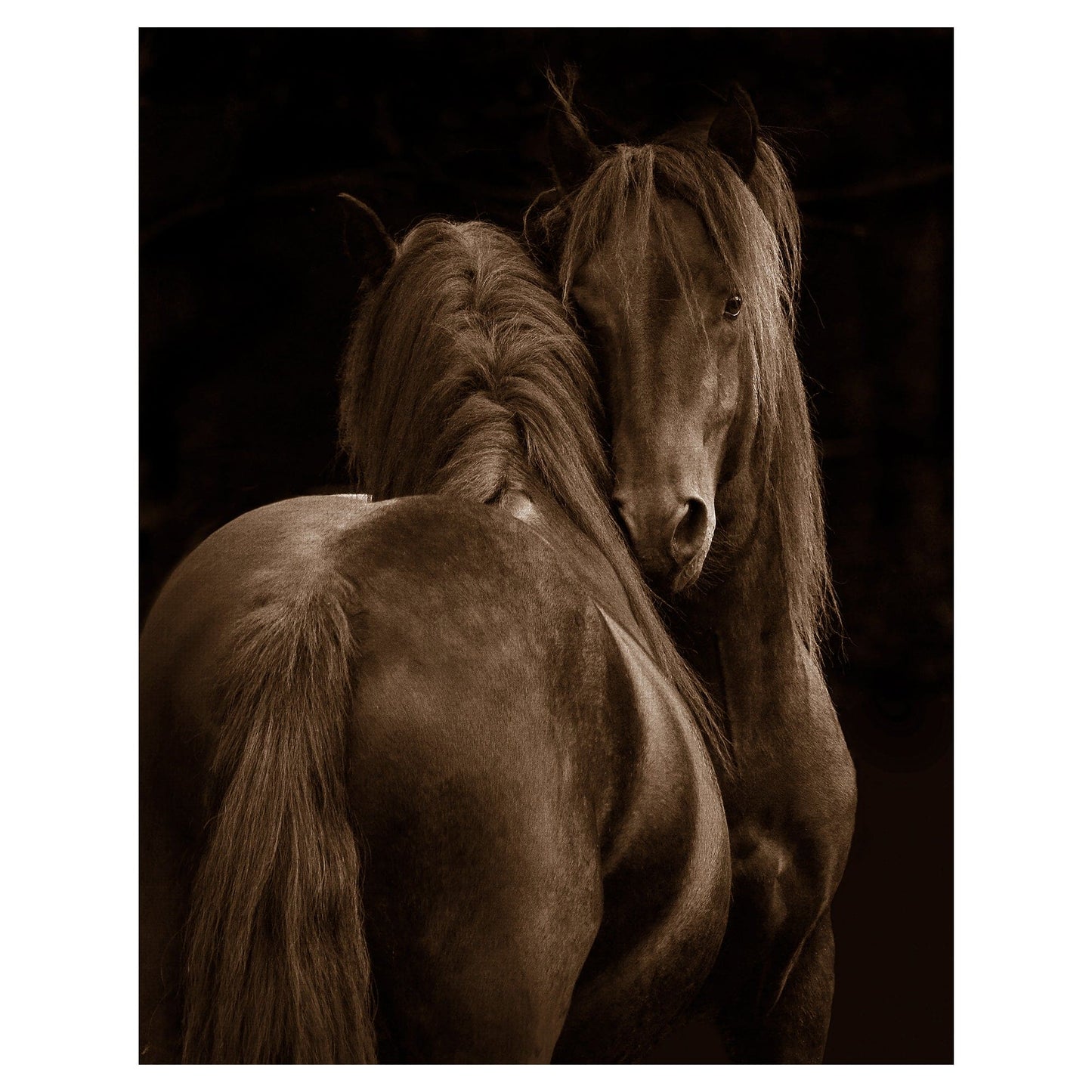 Ternura I - Tony Stromberg