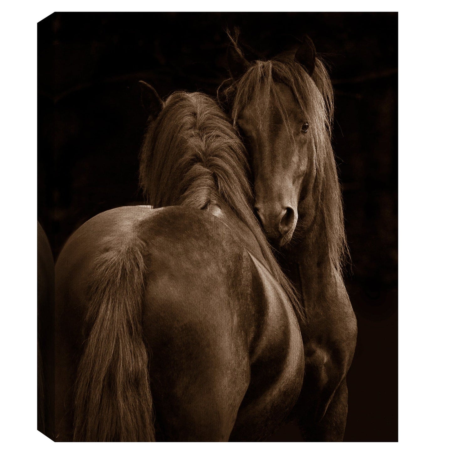 Ternura I - Tony Stromberg