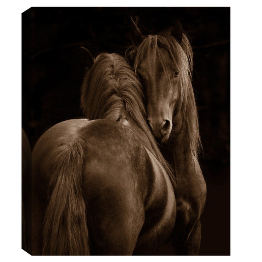 Ternura I - Tony Stromberg