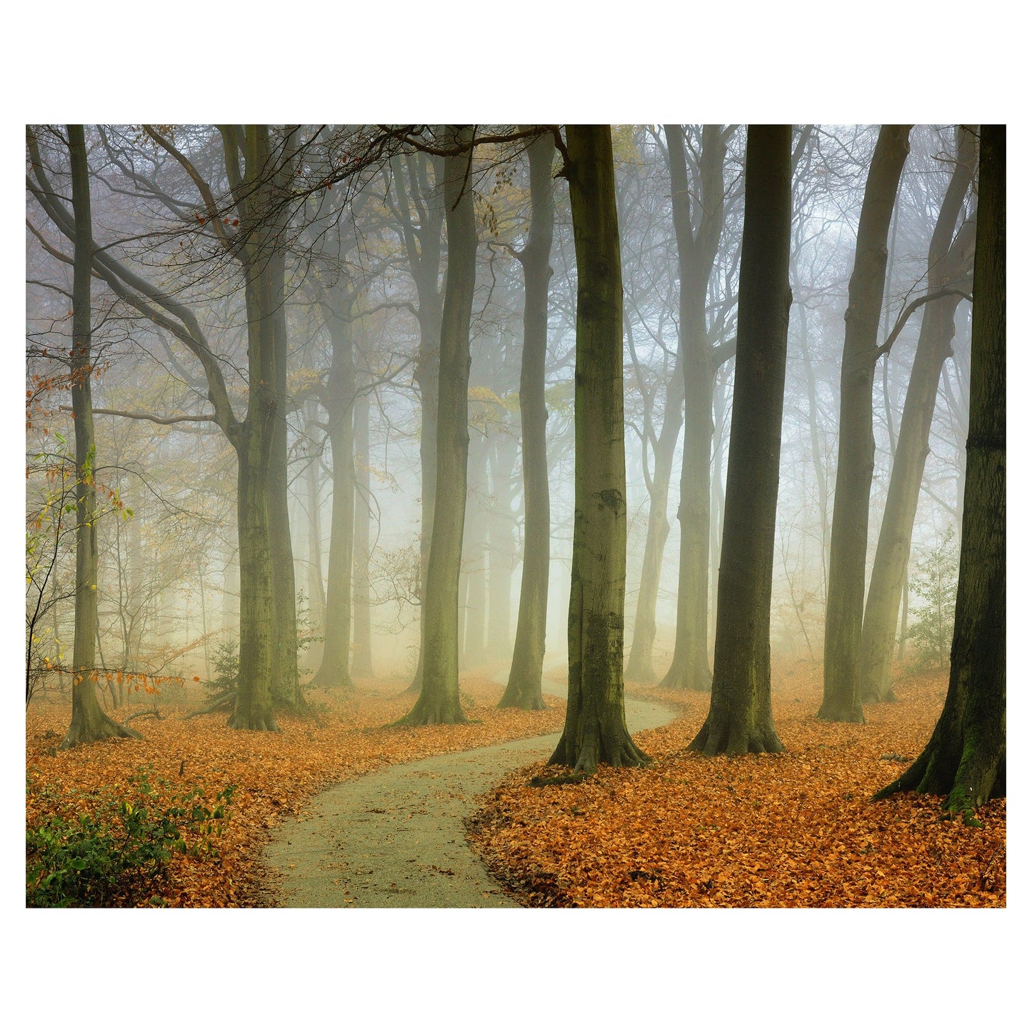 Brumoso sinuoso - Lars Van de Goor