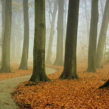 Brumoso sinuoso - Lars Van de Goor