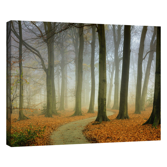 Brumoso sinuoso - Lars Van de Goor