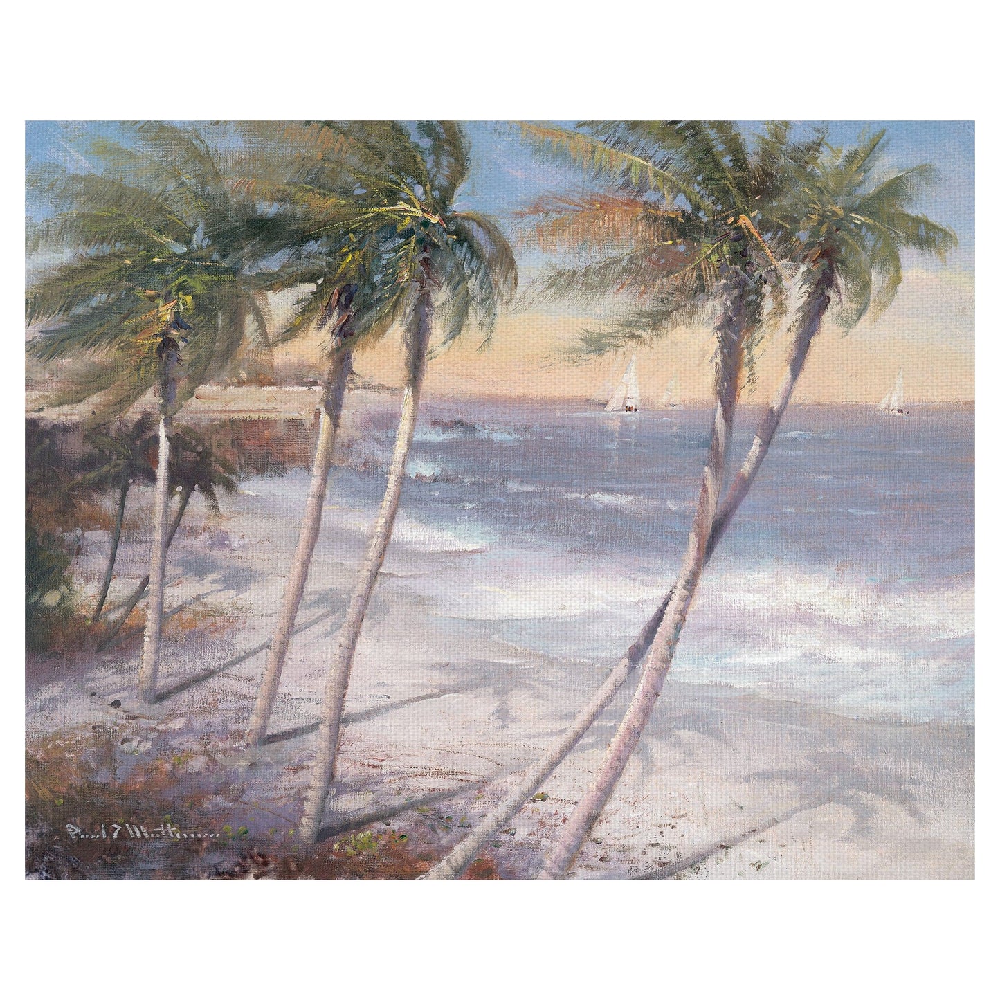 Playas de arena blanca - Paul Mathenia