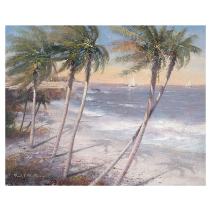 Playas de arena blanca - Paul Mathenia