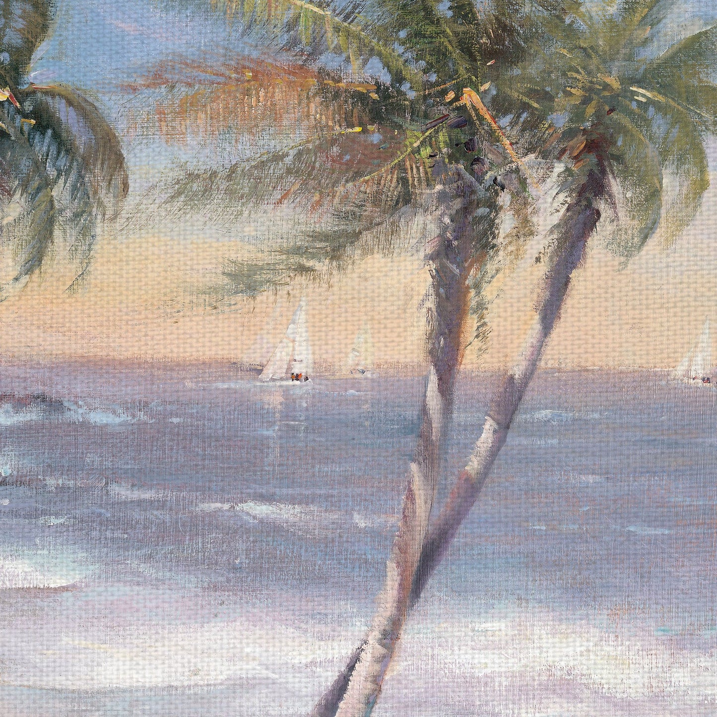 Playas de arena blanca - Paul Mathenia