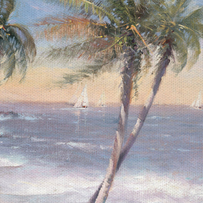 Playas de arena blanca - Paul Mathenia