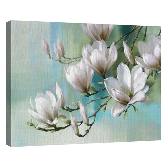 Magnolia Cerceta de la manana - Rogier Daniels
