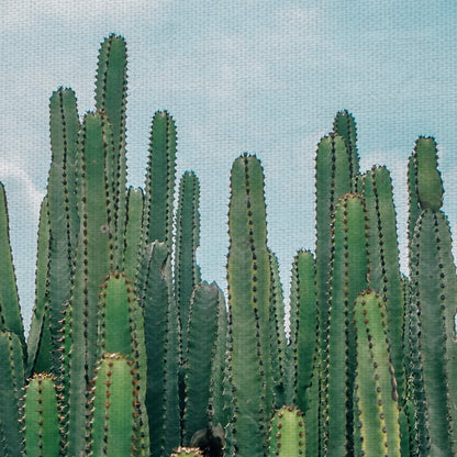 Verdes de cactus - David Sola