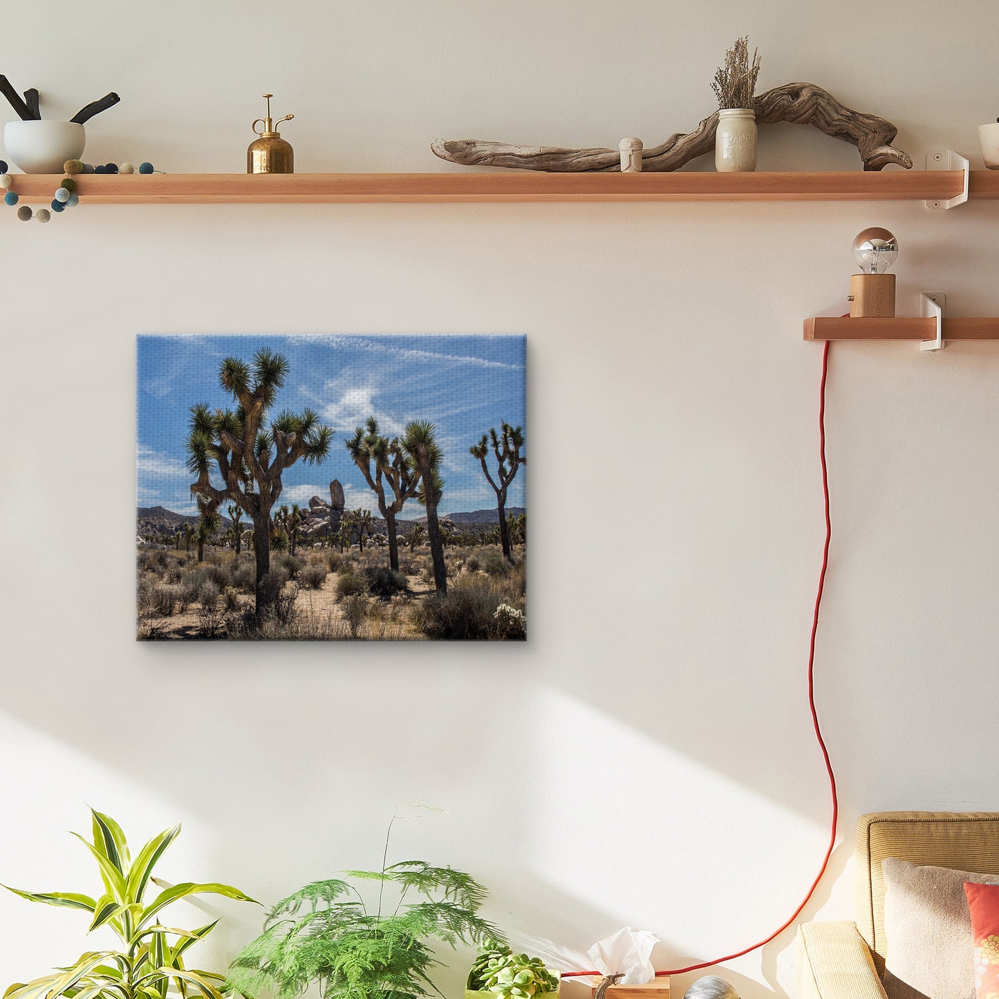 Vista del desierto - Owen Rupp